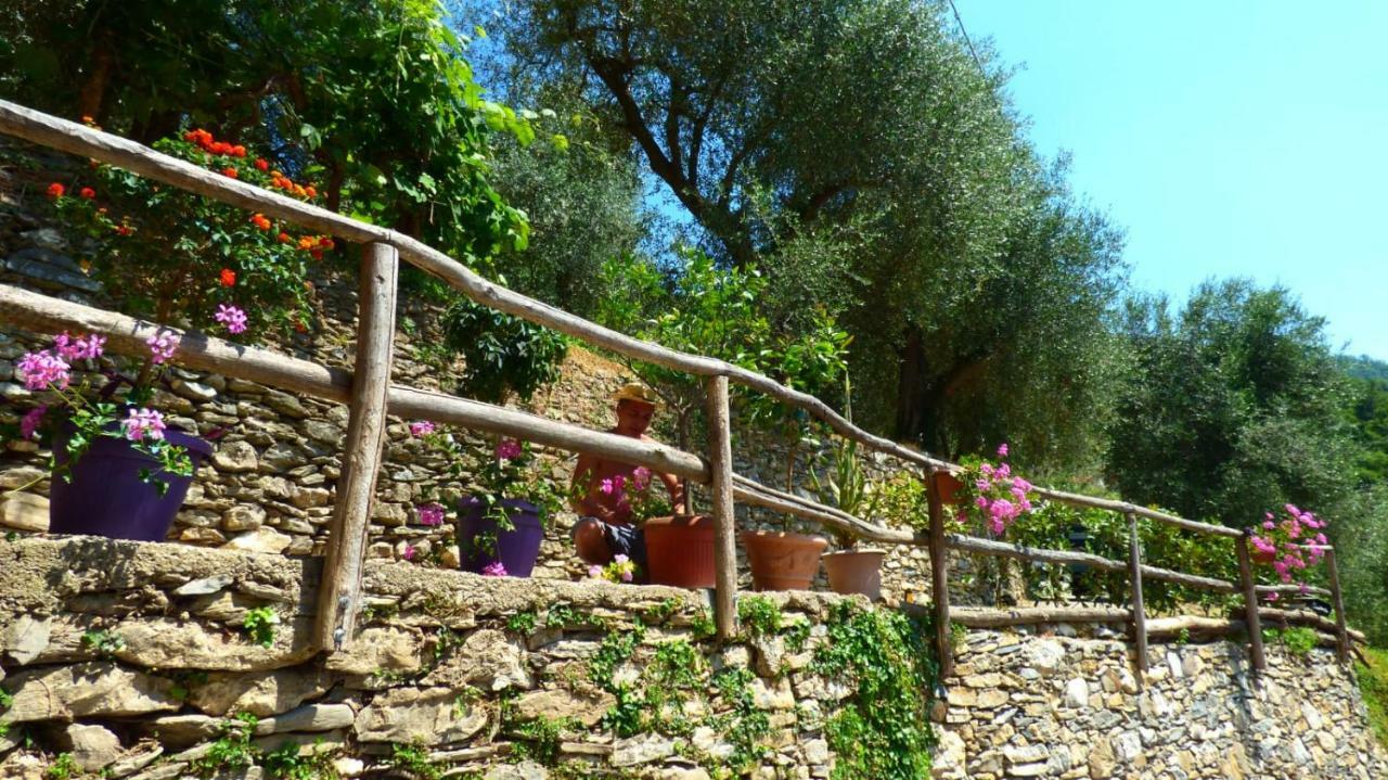 Casa Vacanze Sole Borghetto d'Arroscia Kültér fotó